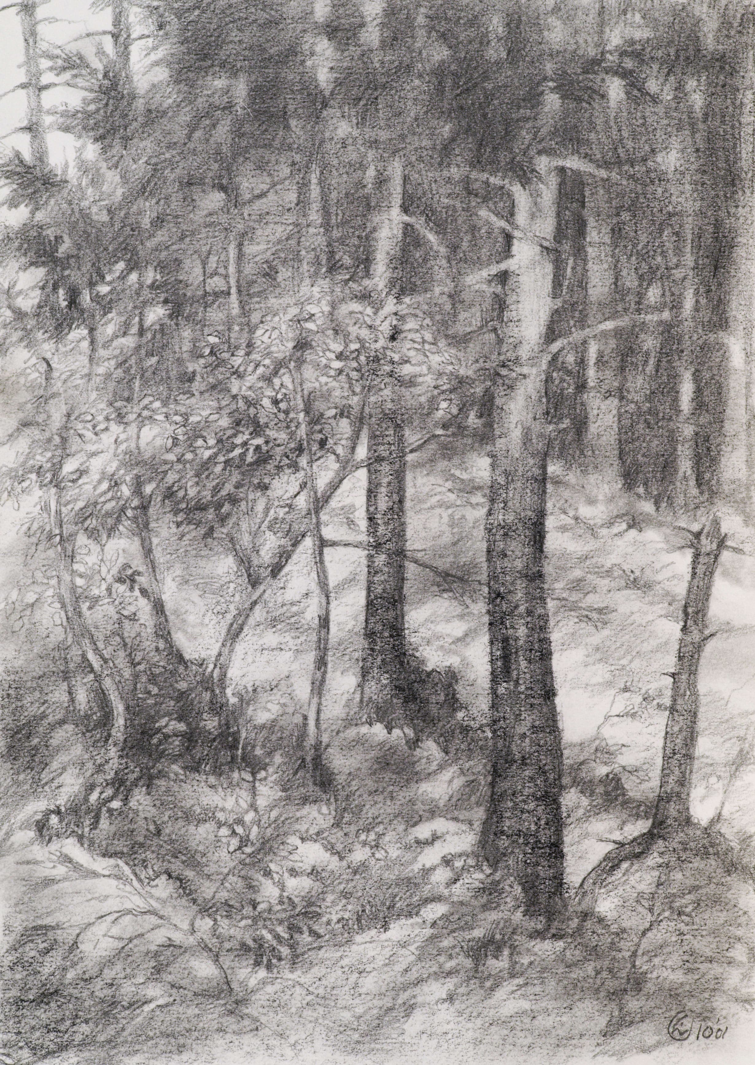 Various Baxter Landscapes from the Sketchbooks (Slide 5)