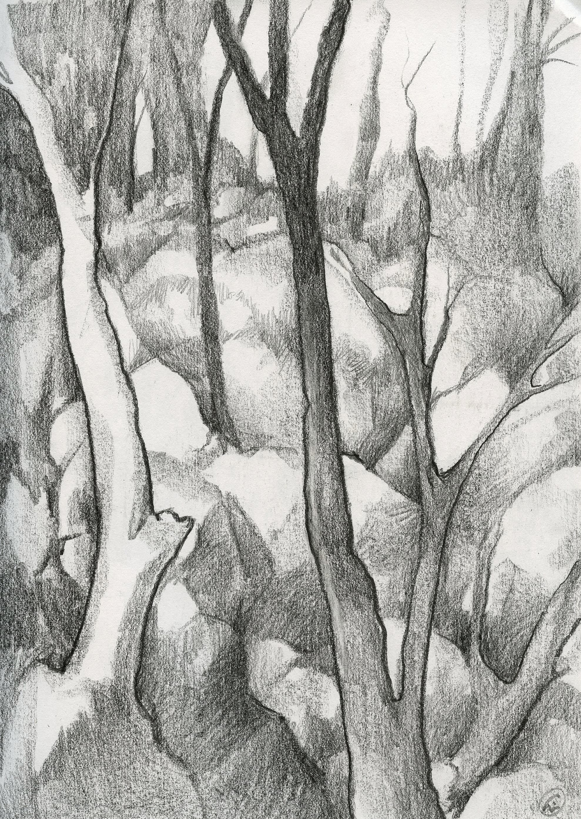 Various Imaginary Landscapes from the Sketchbooks