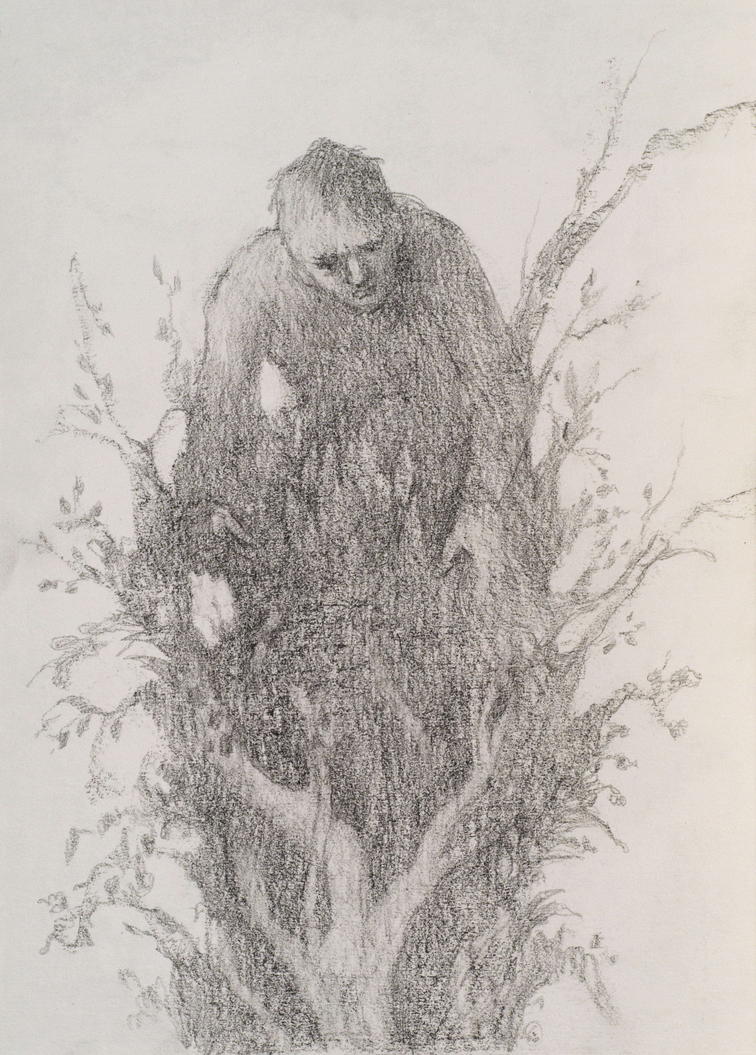 Study for Man in Tree Vertical