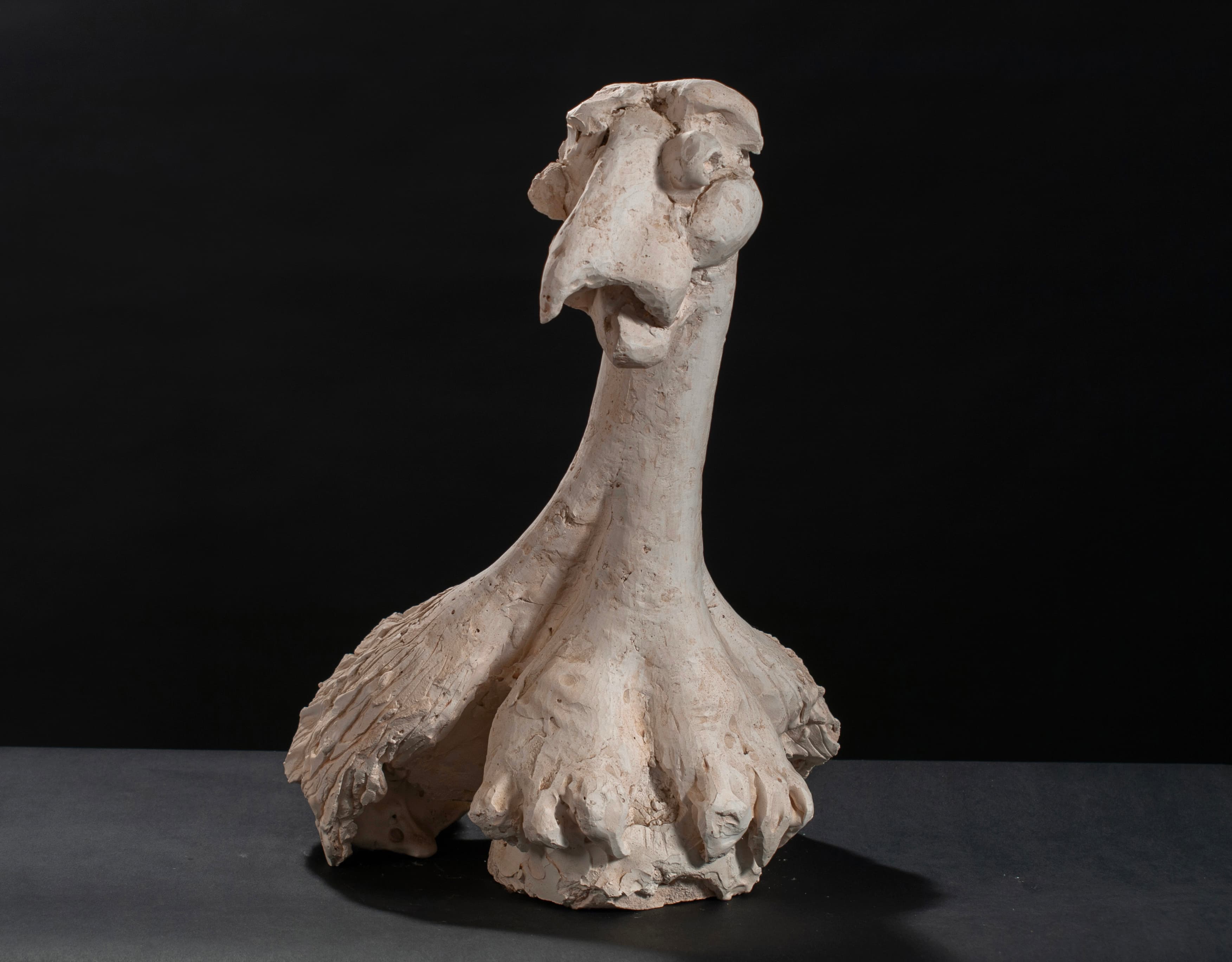 Art with the title "Bird Woman".