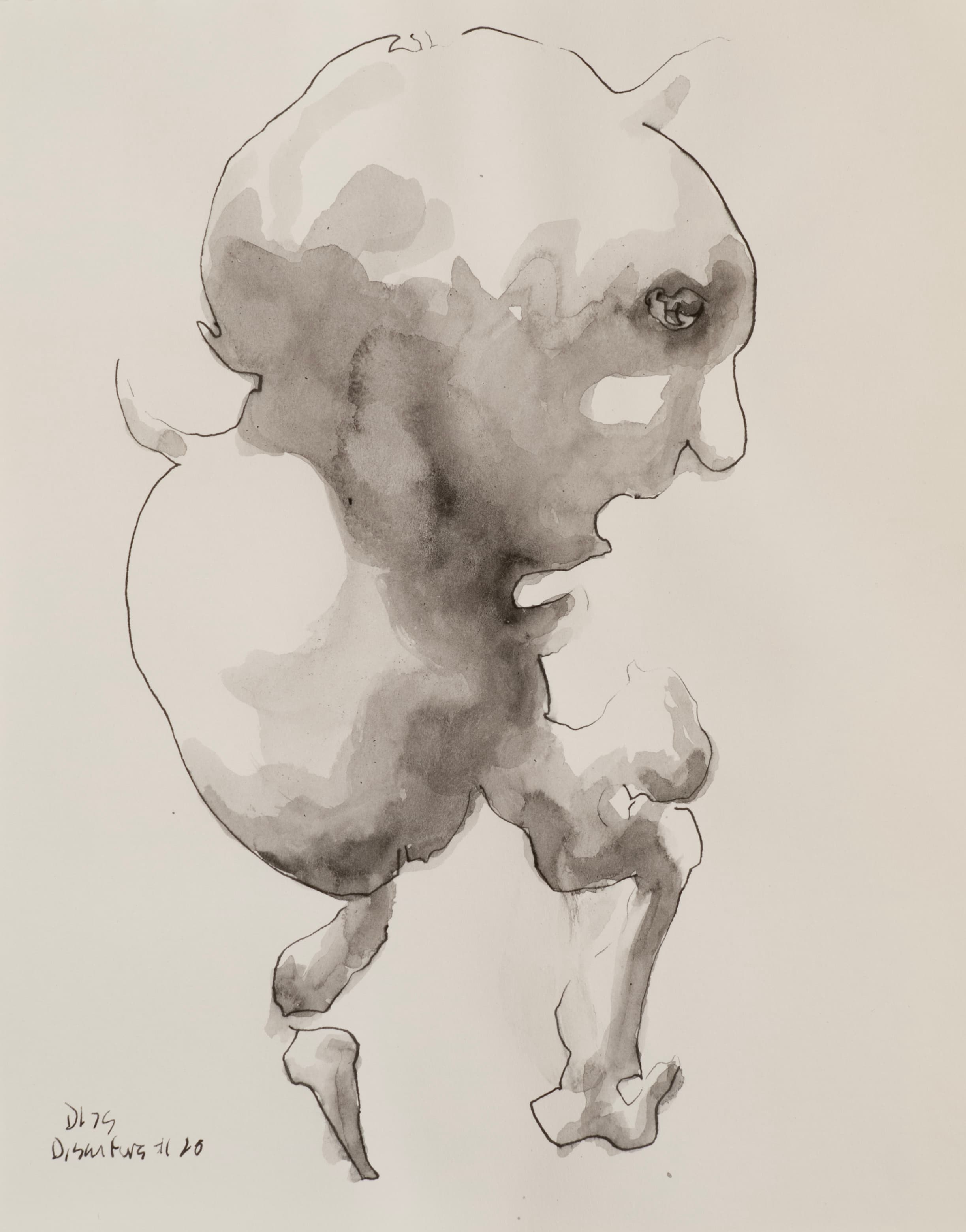 Art with the title "Disaster 20".