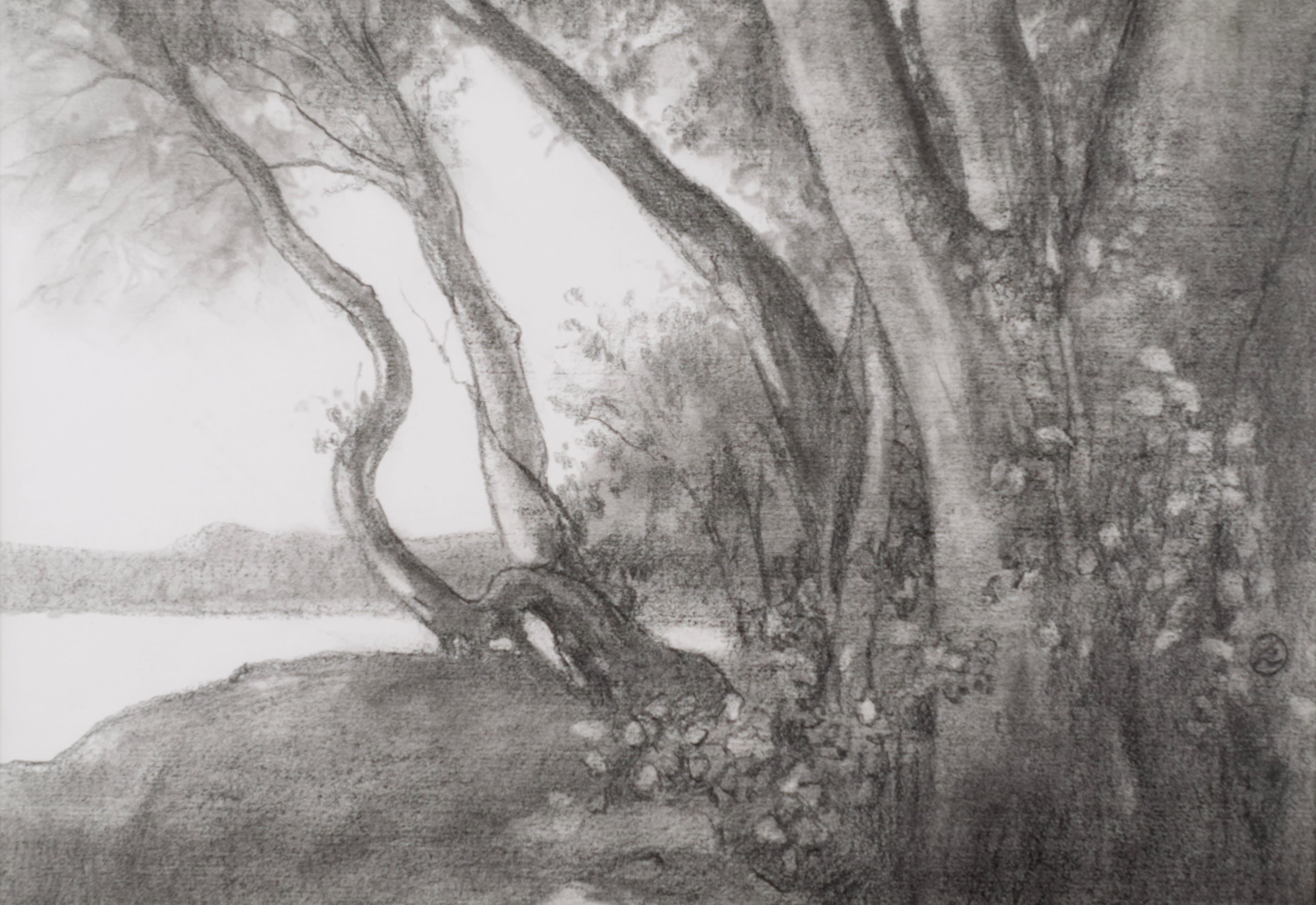 Curved Tree after Corot