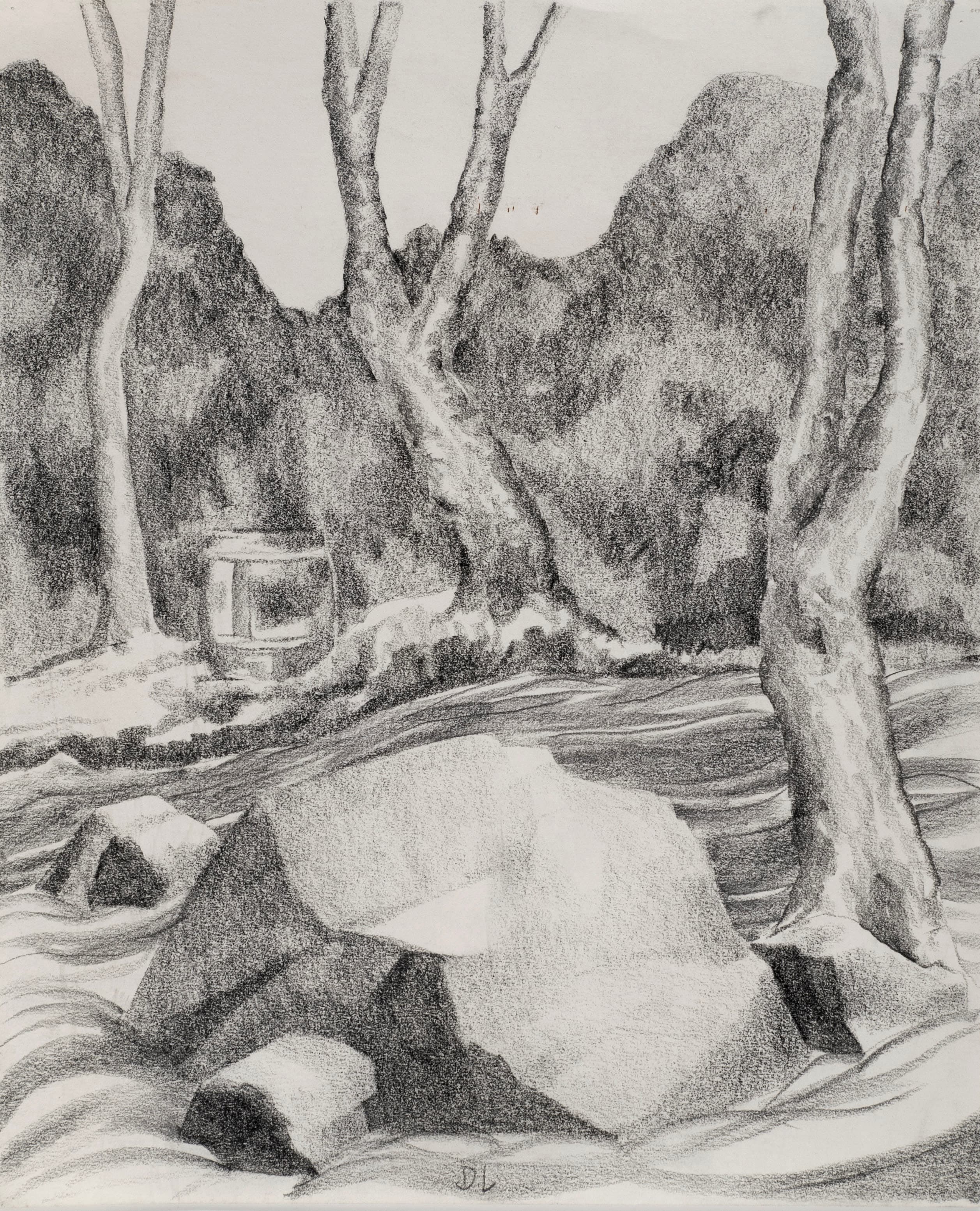 Rocks and Tree in Stream
