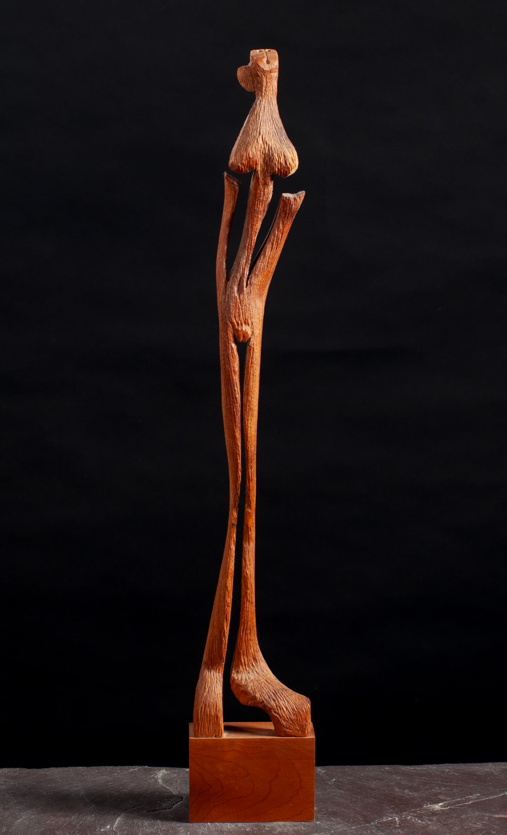 Art with the title "Divided Woman".