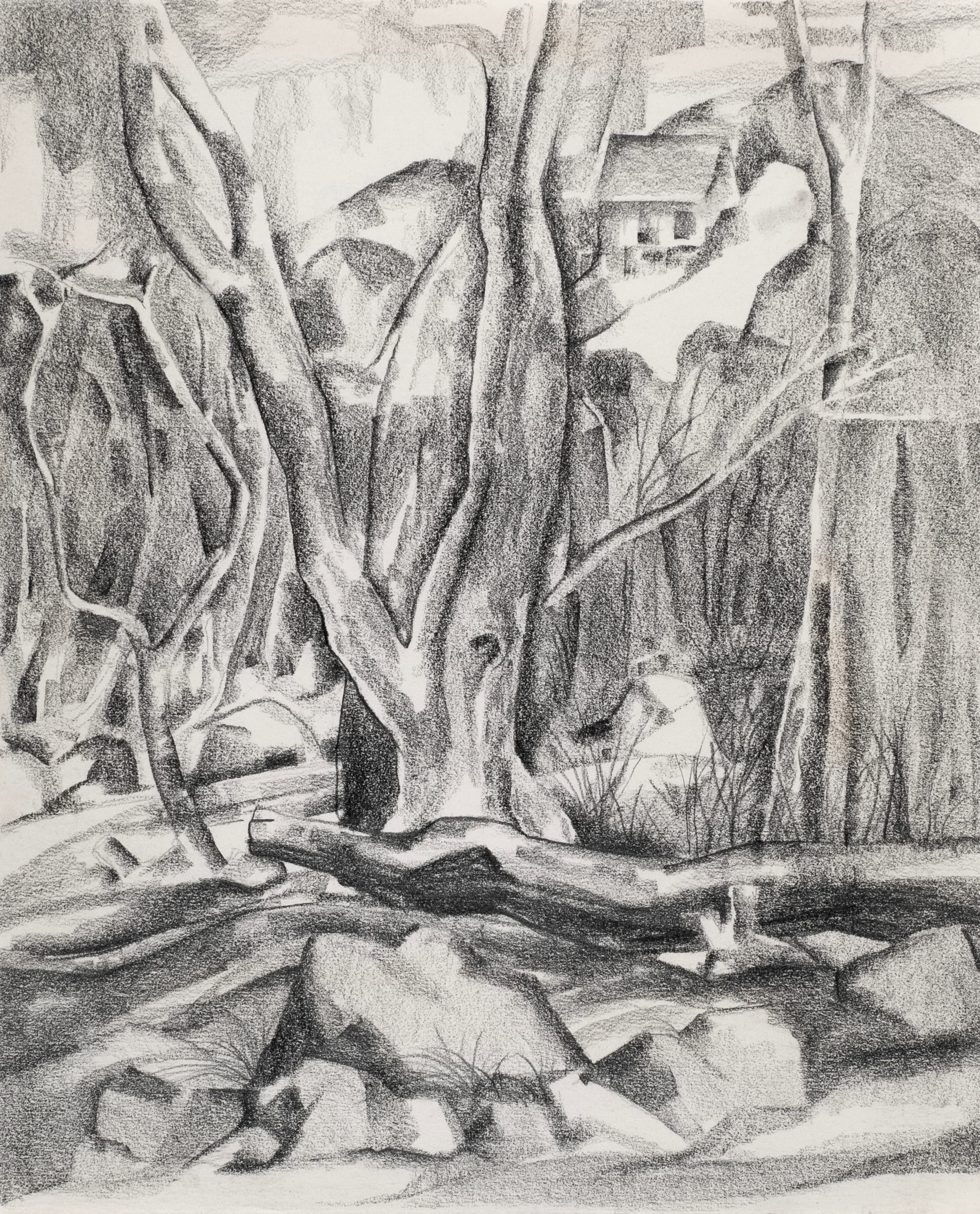 Art with the title "Rocks, Trees and Distant Cabin".