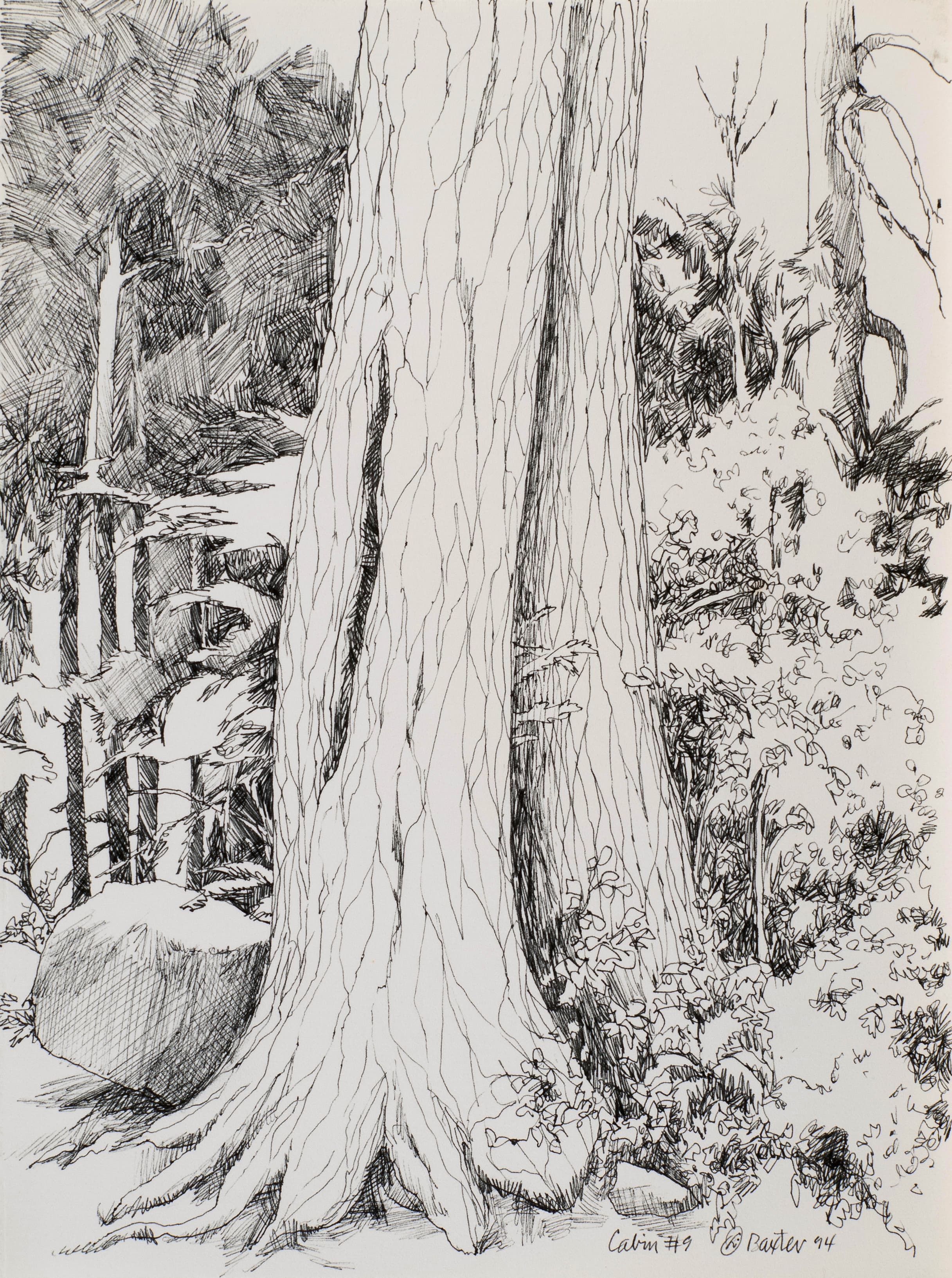 Art with the title "Tree Outside Cabin 9, Daicey Pond, Baxter".