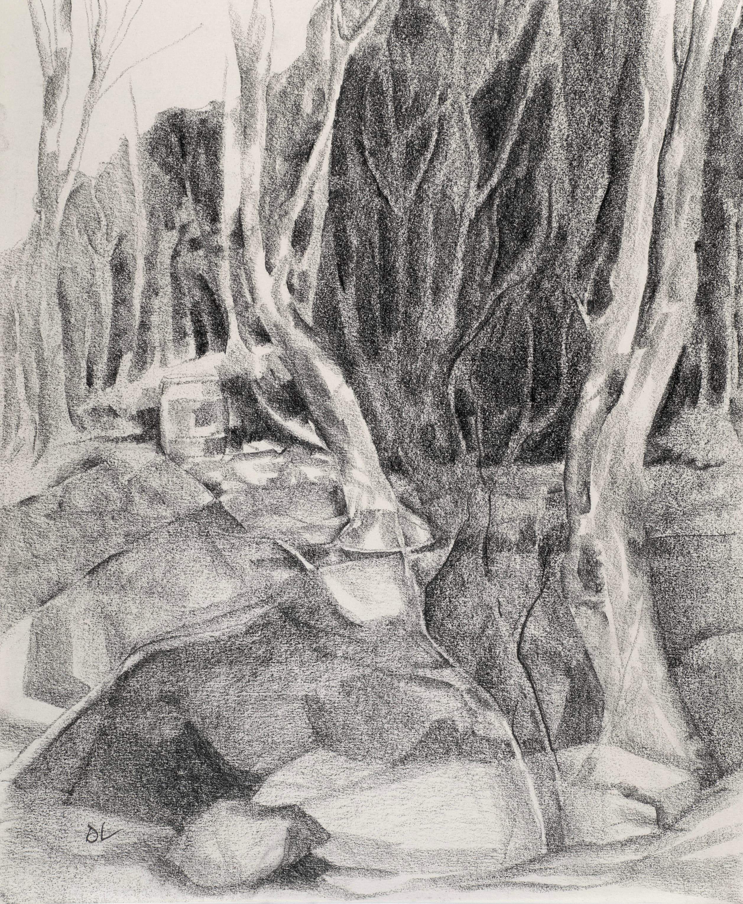 Art with the title "Trees in Maine".